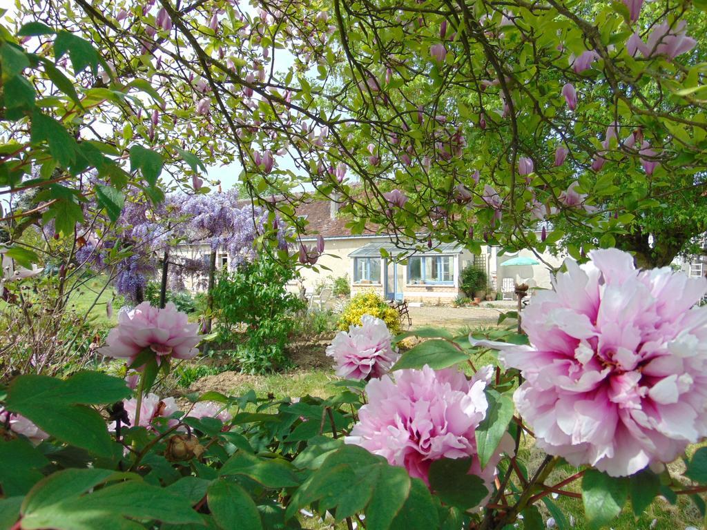 La Ferme Aux Oies Bed and Breakfast Reugny Exteriör bild