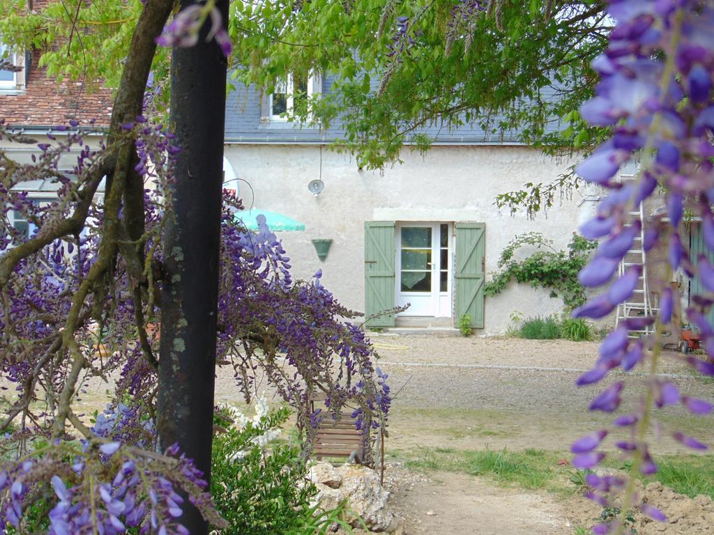 La Ferme Aux Oies Bed and Breakfast Reugny Exteriör bild