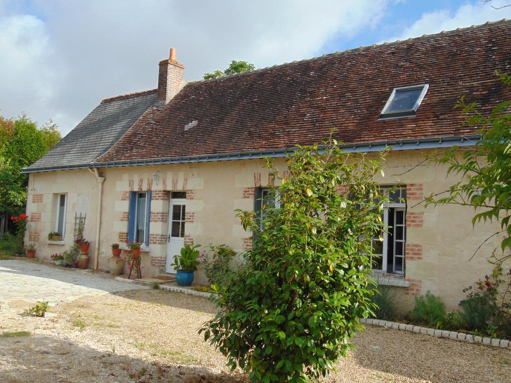 La Ferme Aux Oies Bed and Breakfast Reugny Exteriör bild