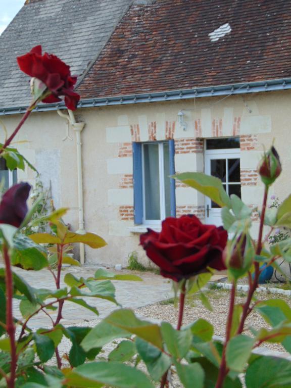 La Ferme Aux Oies Bed and Breakfast Reugny Exteriör bild