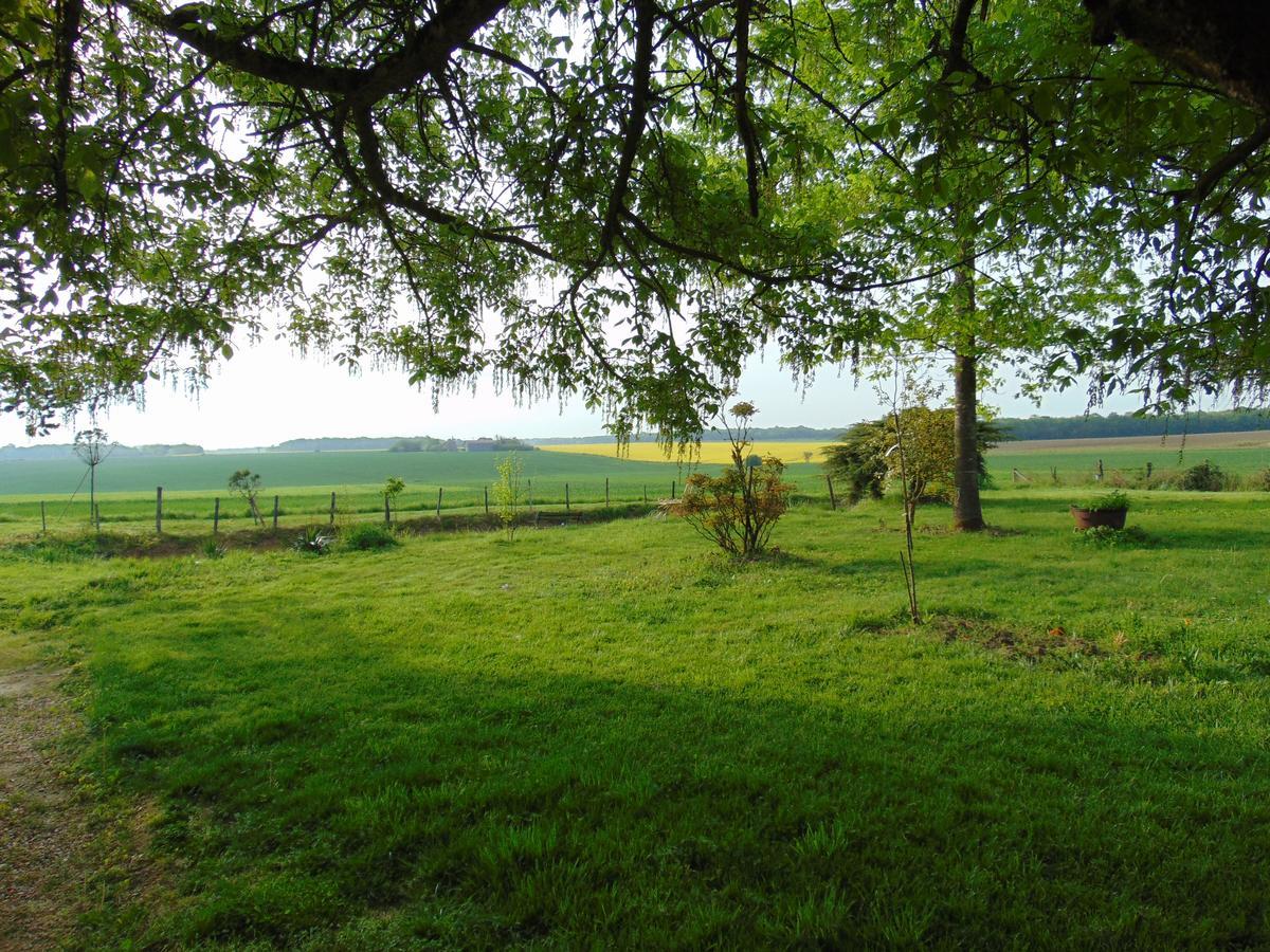 La Ferme Aux Oies Bed and Breakfast Reugny Exteriör bild